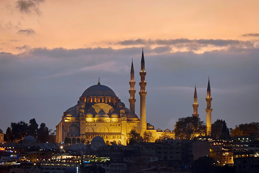 The Blue Mosque in the night